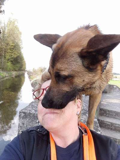 Die lustigsten Selfies mit Deinem Hund !-Beitrag-Bild