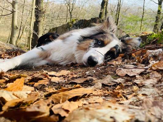 Foto Challenge Nr. 79-Beitrag-Bild