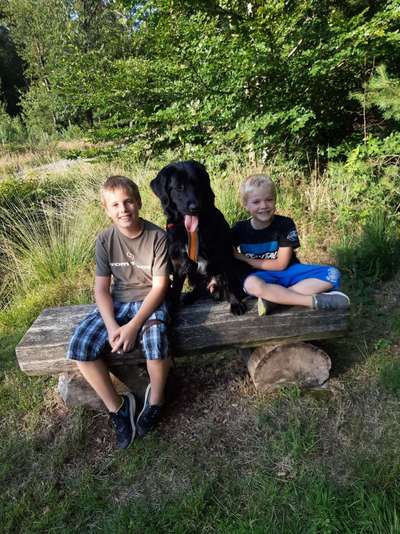 Hundmenschfotos-Beitrag-Bild