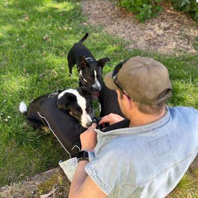 Hundetreffen-Meinen Hund ist jetzt so weit das er ohne Leine läuft und kann auch mit anderen Hunden toben mit 🐕