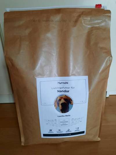 Suche hochwertiges Welpenfutter-Beitrag-Bild