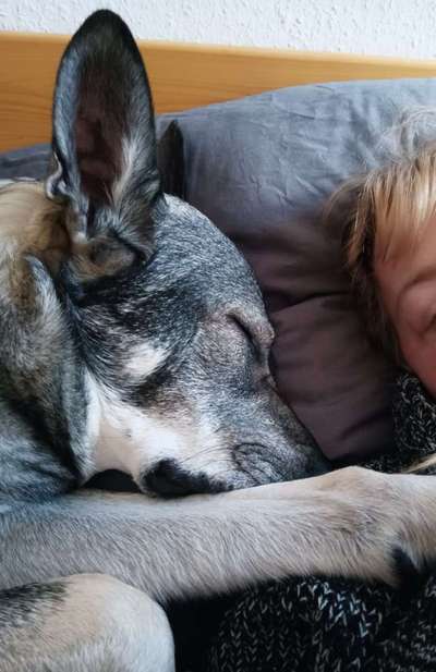 Gemeinsames Kuscheln im Bett!-Beitrag-Bild