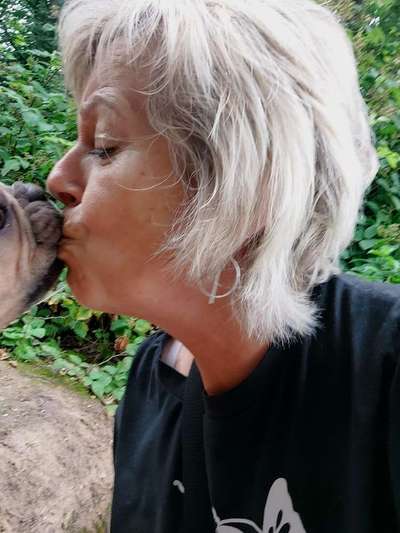 Dogorama Photo Challenge - Liebesbeweis-Beitrag-Bild