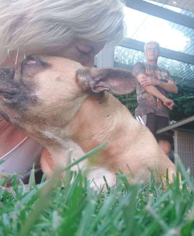 Dogorama Photo Challenge - Liebesbeweis-Beitrag-Bild