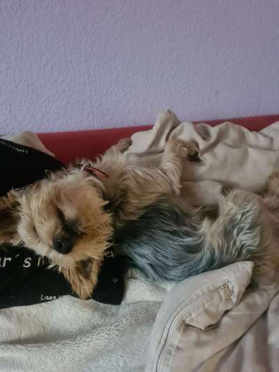 Fotochallange Nr. 57     PORTRÄT.   Beendet!!!!!!!!-Beitrag-Bild