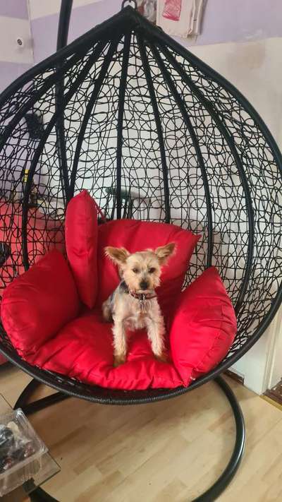 Fotochallange Nr. 57     PORTRÄT.   Beendet!!!!!!!!-Beitrag-Bild