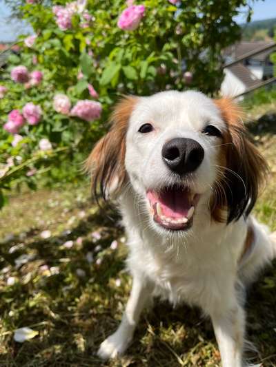 Das beste grinsefoto-Beitrag-Bild