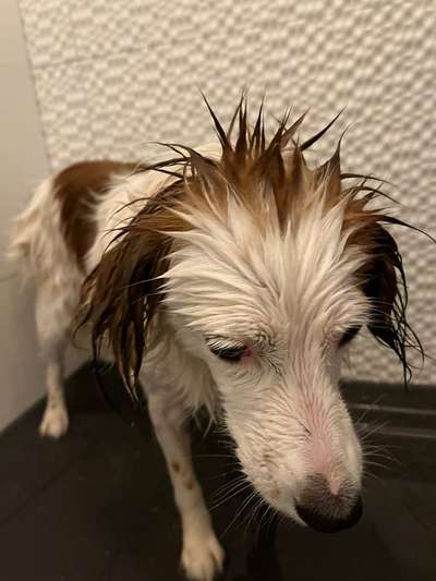 LUSTIGE FOTOS! WER KANN MITHALTEN?-Beitrag-Bild