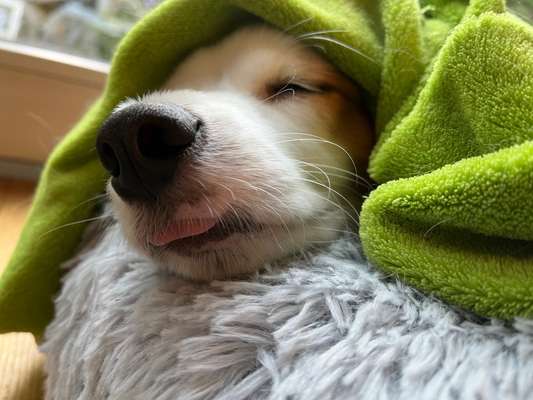 4. Lustiger Schlafplatz-Beitrag-Bild