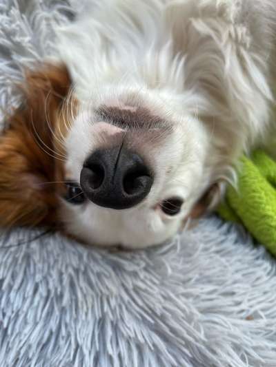 20. Handy -Foto-Callenge-Beitrag-Bild