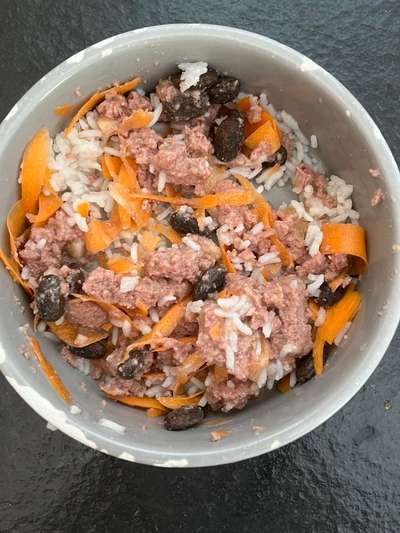 Zeigt her Eure Futternäpfe-Beitrag-Bild