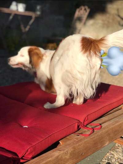 Lustige Grimassen & verrückte Posen-Beitrag-Bild