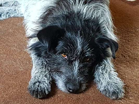 12. Farben Foto Challenge --- Braun-Beitrag-Bild