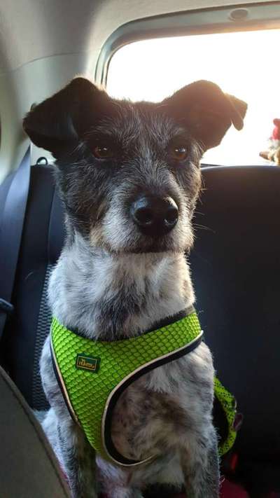 CHALLENGE NR. 18 - ON TOUR-Beitrag-Bild