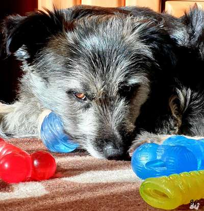 15. Handyfoto Challenge - Indoor Aktivitäten-Beitrag-Bild