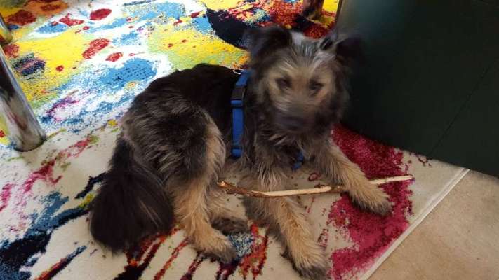 Un...scharf Bilder-Beitrag-Bild