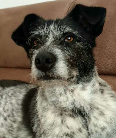 Fotochallange Nr. 57     PORTRÄT.   Beendet!!!!!!!!-Beitrag-Bild