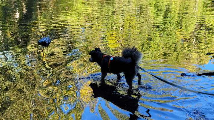 Eure schönsten Fotos mit Wasser-Beitrag-Bild