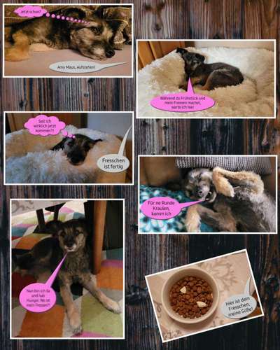 1. Kurzgeschichten Challenge  - Thema:  ...Los, aufstehen-Beitrag-Bild