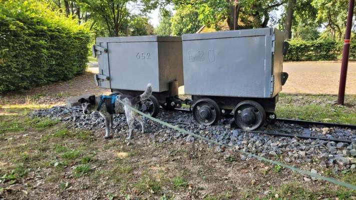 141. FOTO CHALLENGE 
Reisende soll man nicht aufhalten-Beitrag-Bild