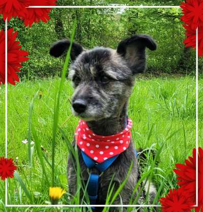 11. Farben Foto Challenge Rot-Beitrag-Bild