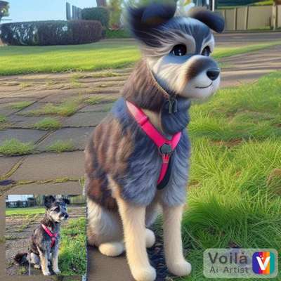 Voila app Bilder-Beitrag-Bild