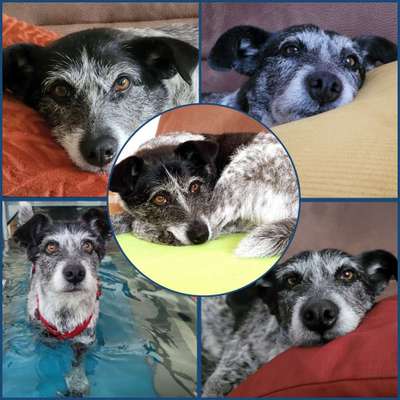 48. Collagen Challenge: Das Leben ist bunt-Beitrag-Bild