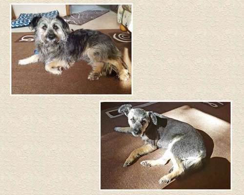 28. Handy-Fotochallenge - Damals und heute-Beitrag-Bild