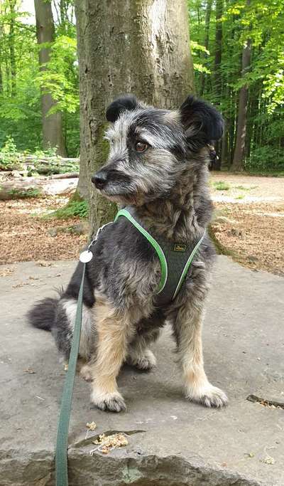 Fotowettbewerb Natur-Beitrag-Bild