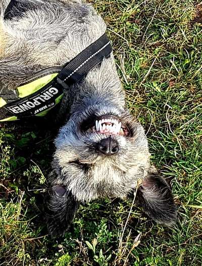 Handy-foto Challange nr. 11-Beitrag-Bild