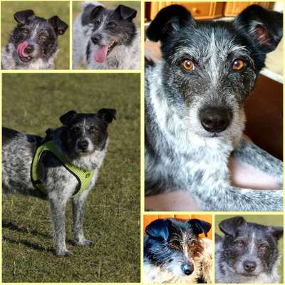 23. Collagen-Challenge: Portraits-Beitrag-Bild