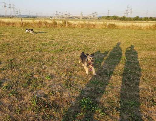 Fotochallange Nr. 46

Schattenspiele BEENDET!!!!!-Beitrag-Bild