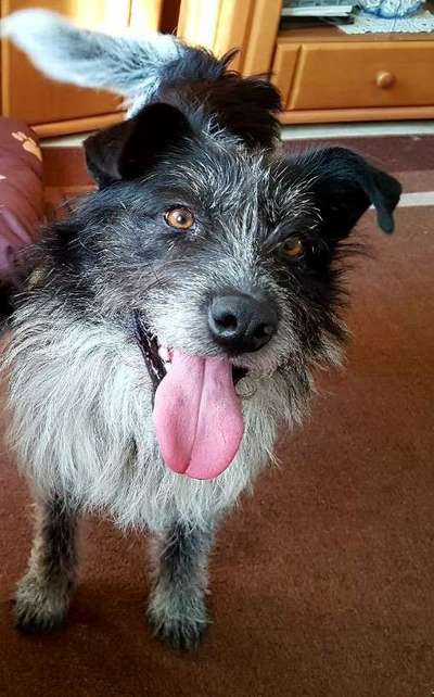 Challenge Nr. 10: "Das schönste Lächeln"-Beitrag-Bild