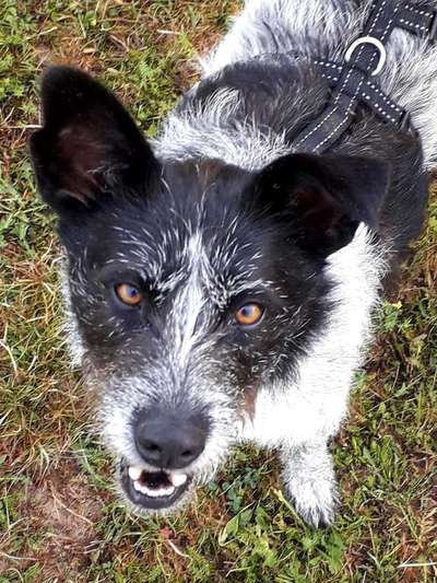 Von oben-Beitrag-Bild