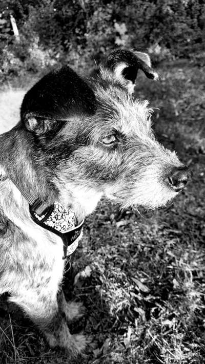 3. Farben/Fotochallenge: Schwarz/Weiß-Beitrag-Bild