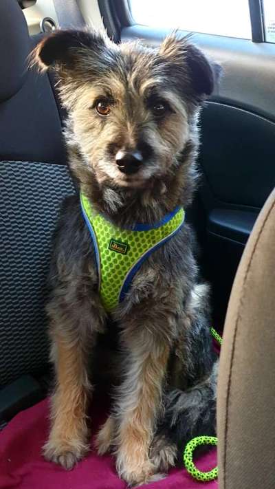 117. Fotochallenge-Beitrag-Bild