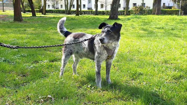 42.Fotochallenge - Eure schönen Momente beim Spaziergang-Beitrag-Bild