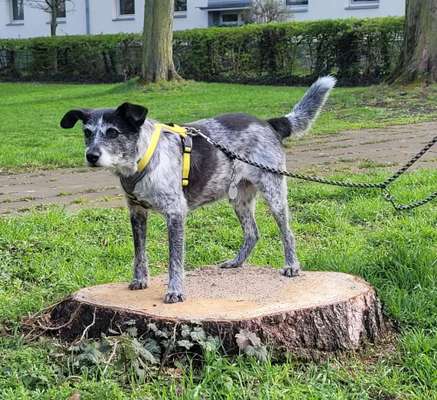 41. Handy Fotochallenge - Euer gemeinsames Hobby-Beitrag-Bild