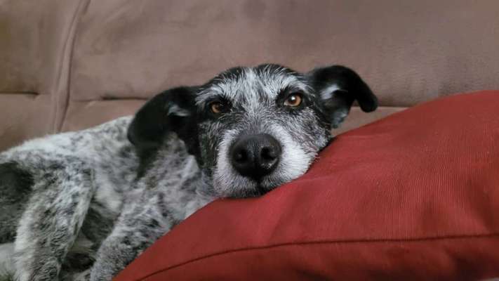 11. Farben Foto Challenge Rot-Beitrag-Bild