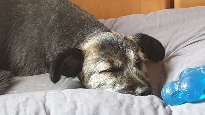 13. Farben-Fotochallenge "Grau"-Beitrag-Bild