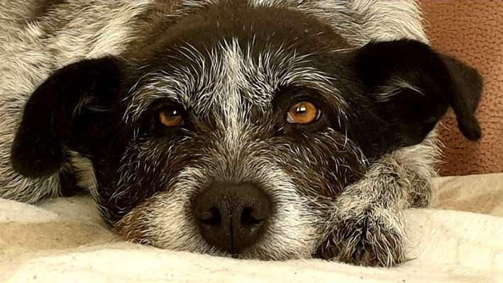 Lieblingsbild :D-Beitrag-Bild