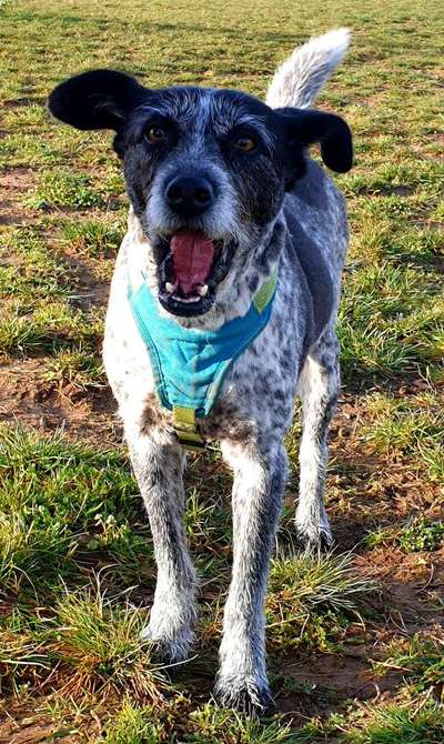 Fotochallenge Nr. 47 - Zeigt die Zähne-Beitrag-Bild