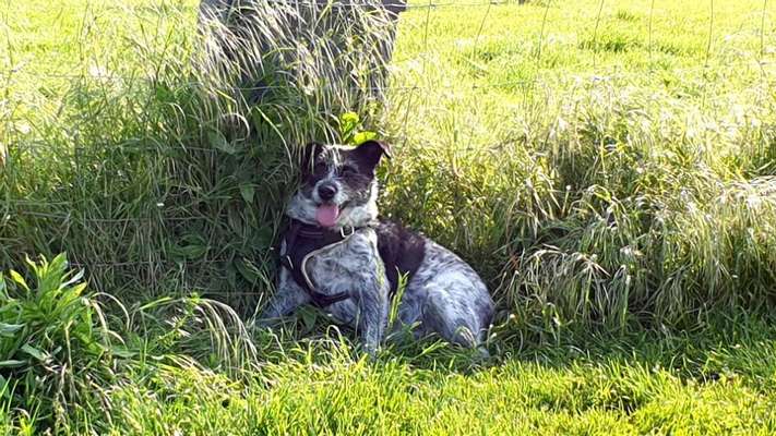 140. Foto Challenge - schattiges Plätzchen-Beitrag-Bild