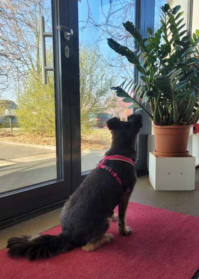 120. Fotochallenge-Beitrag-Bild