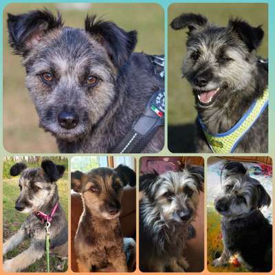 23. Collagen-Challenge: Portraits-Beitrag-Bild