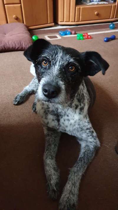 Handy-Foto Challange Nr. 10-Beitrag-Bild