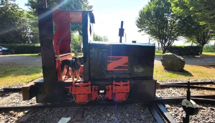 141. FOTO CHALLENGE 
Reisende soll man nicht aufhalten-Beitrag-Bild