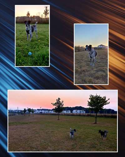 14. Collagen Challenge- Sonnenaufgang & -Untergang-Beitrag-Bild