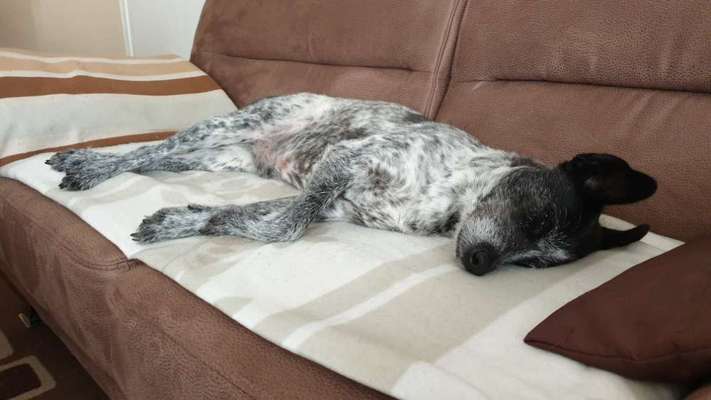 CHALLENGE NR. 34 - Liege-/Schlafpositionen-Beitrag-Bild