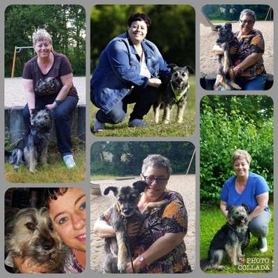 21. Collage Challenge 
Du und dein Hund-Beitrag-Bild